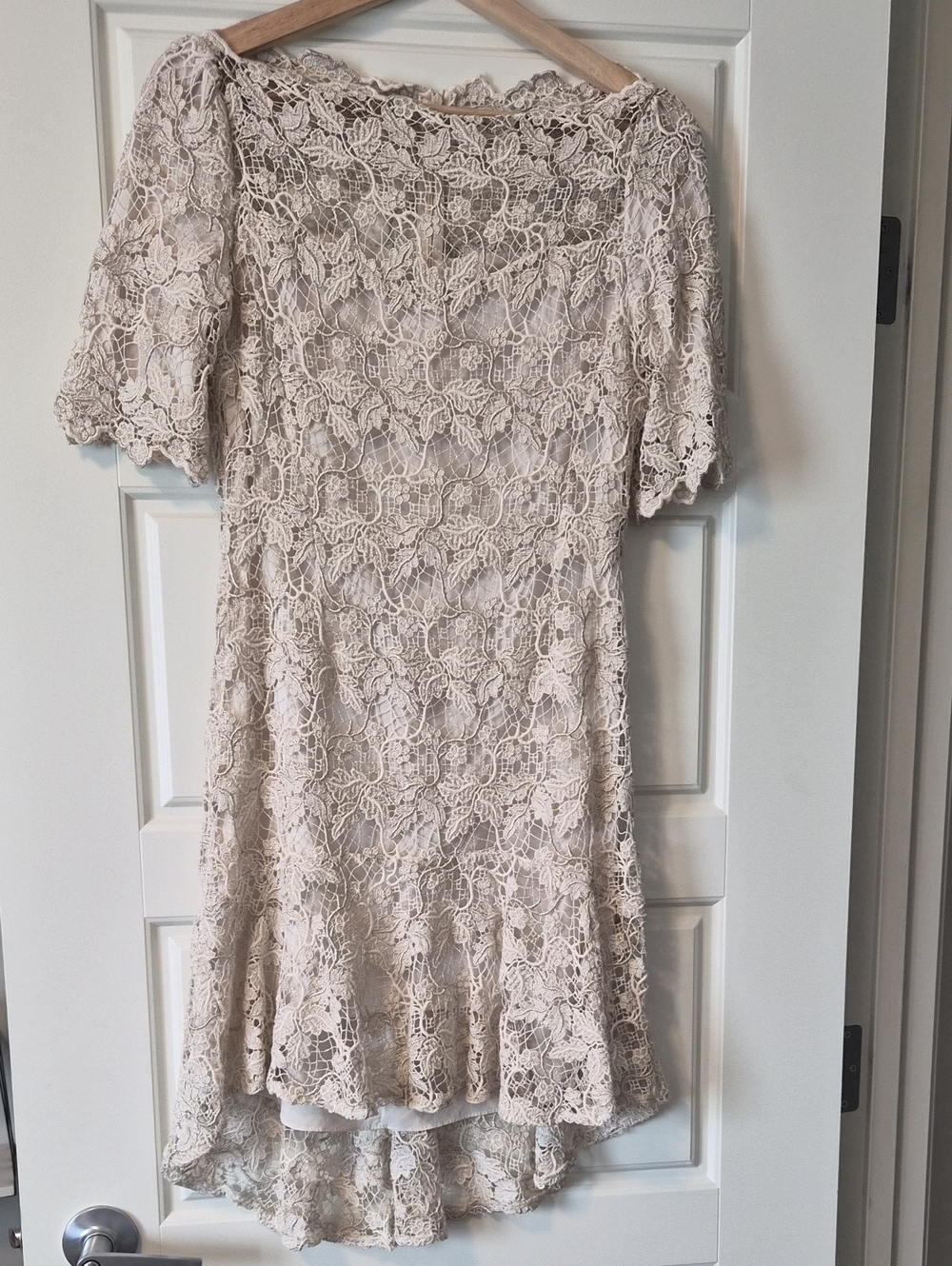 Lace Overlay Short Sleeve Dress in Light Beige Gold